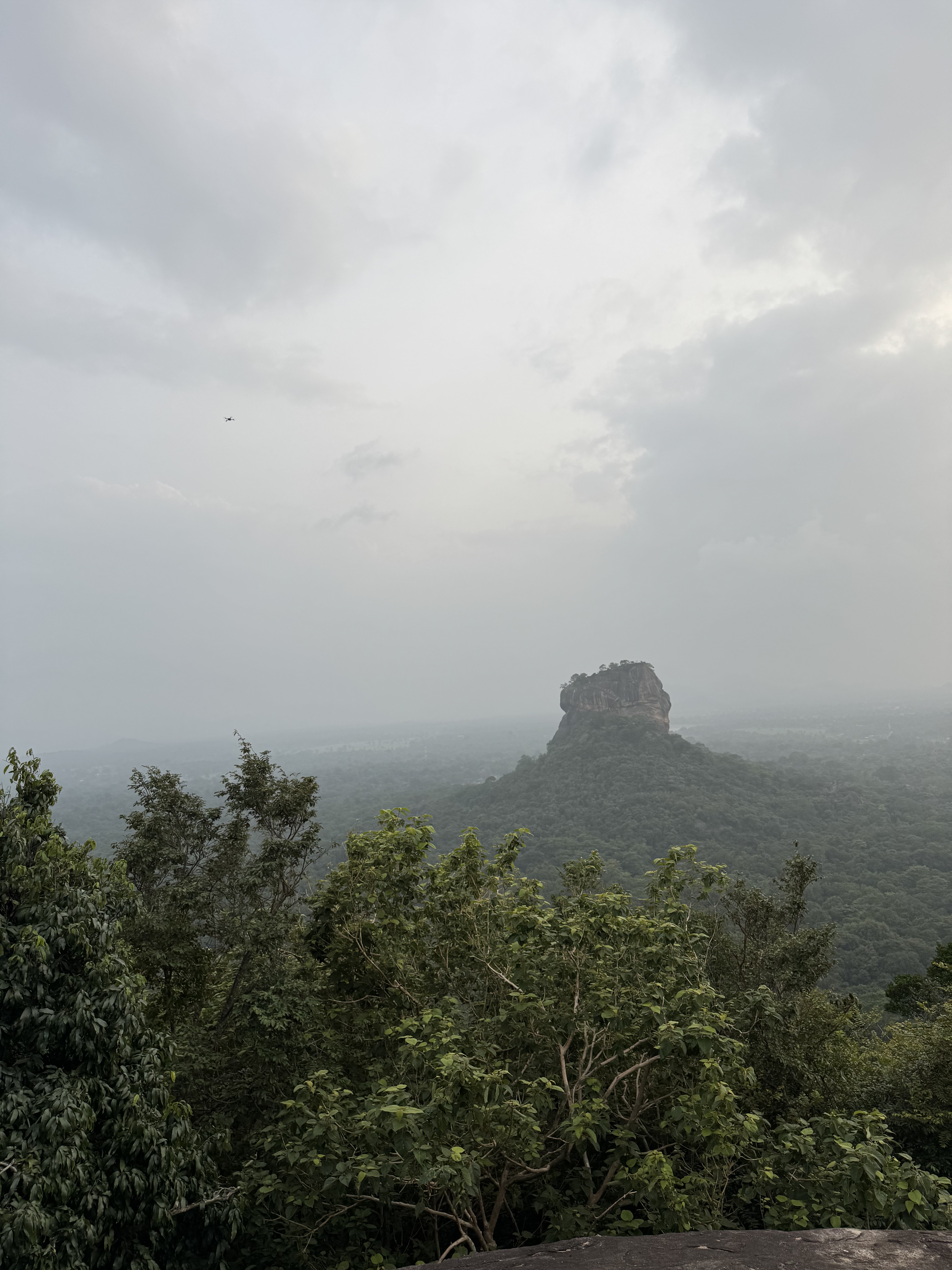 Lion´s Head in Sri Lanka