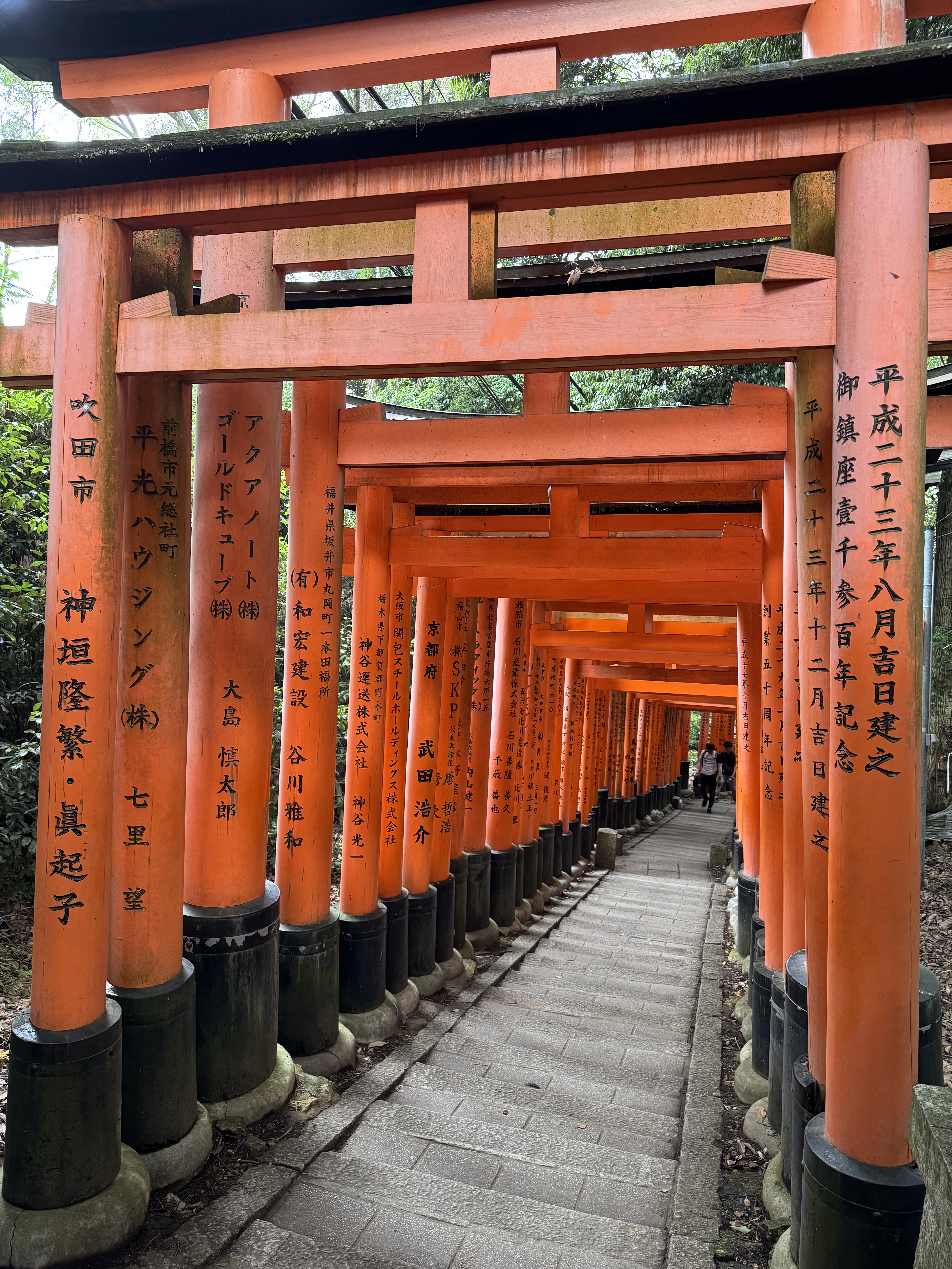 Tausende Torii